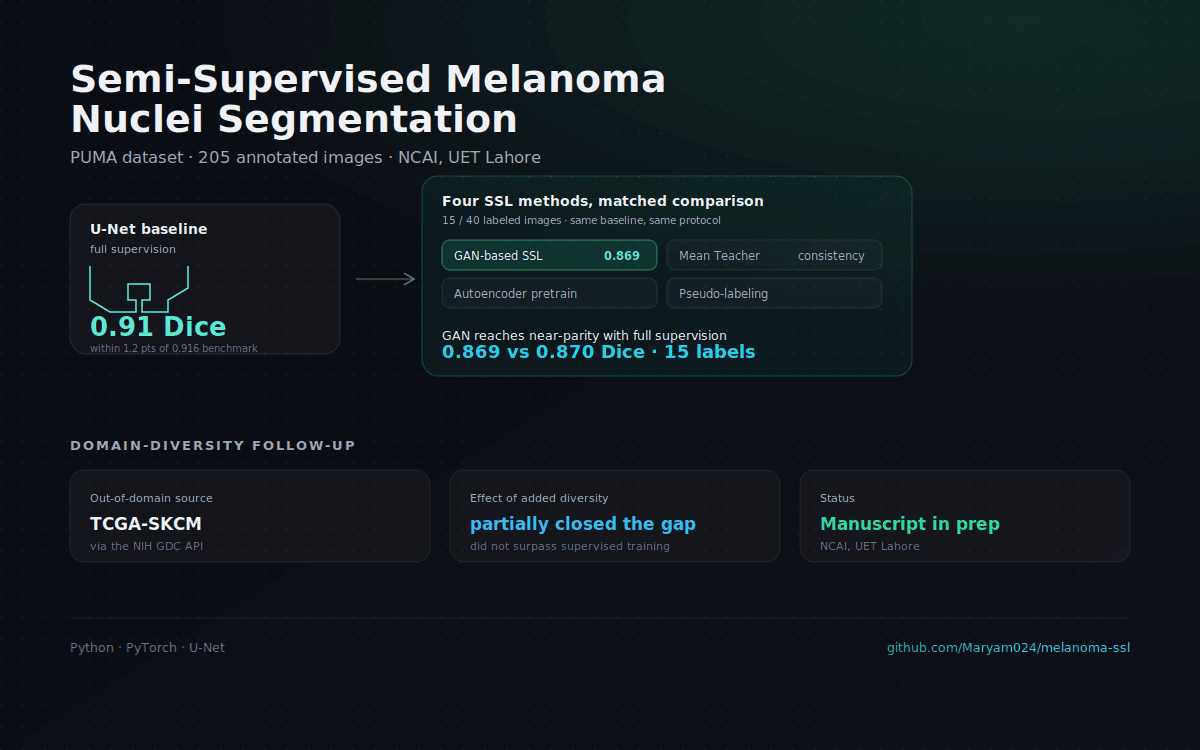 Semi-Supervised Melanoma Nuclei Segmentation